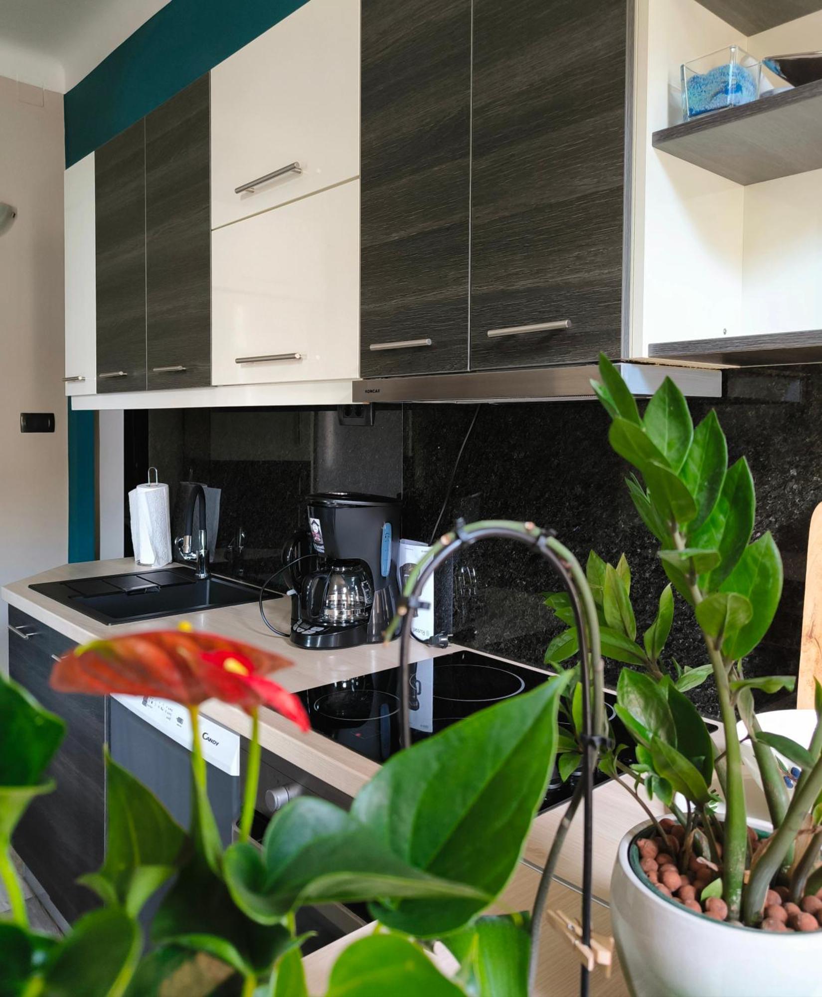Urban Villa Apartment Abbazia Esterno foto